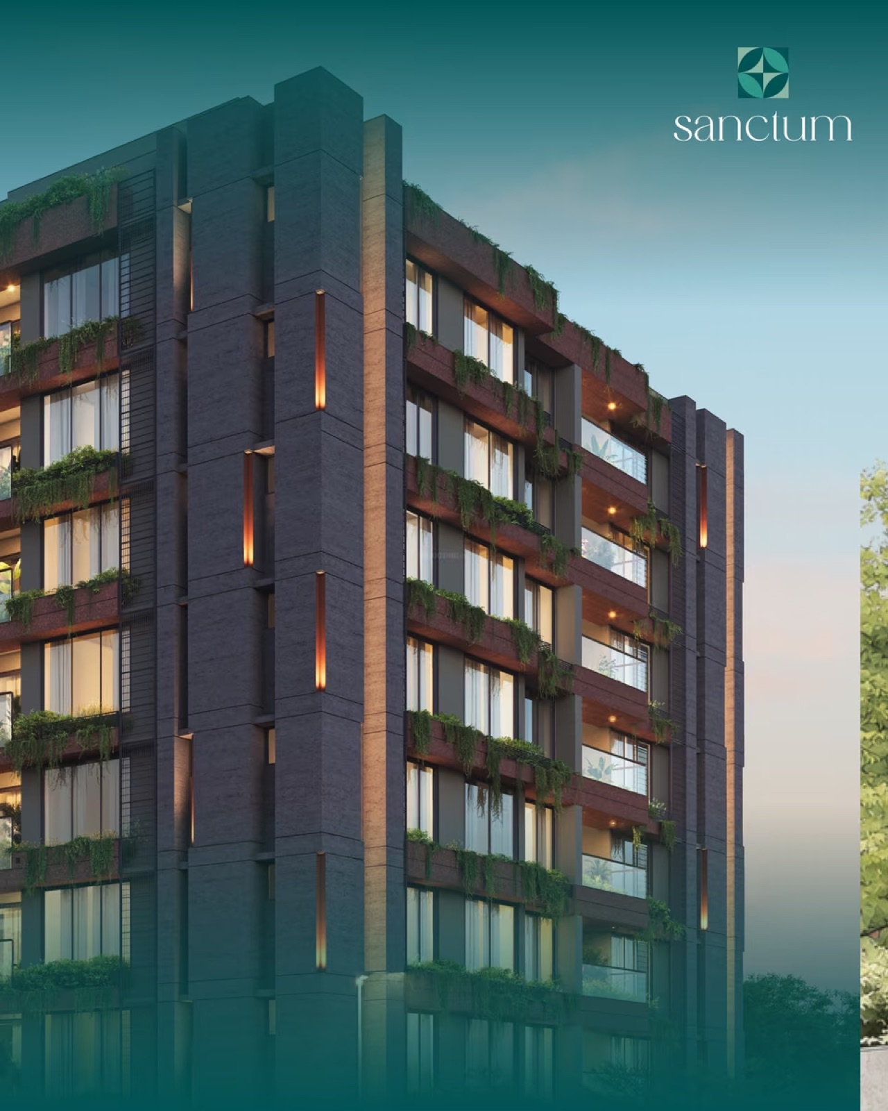 Sanctum, Ambli